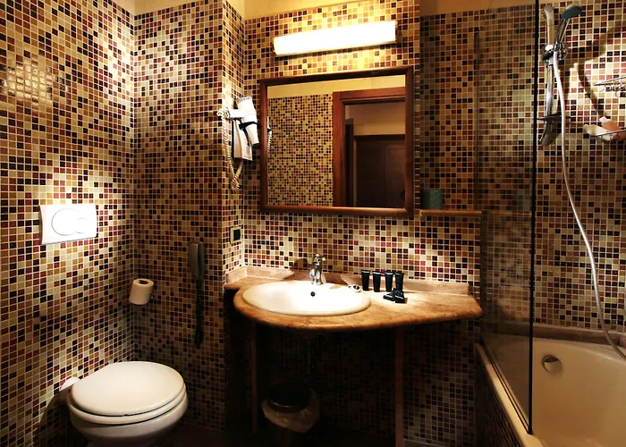 Hs 311 Otel Roma