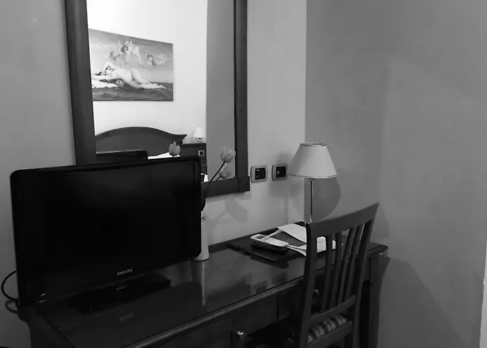 Otel Hs 311